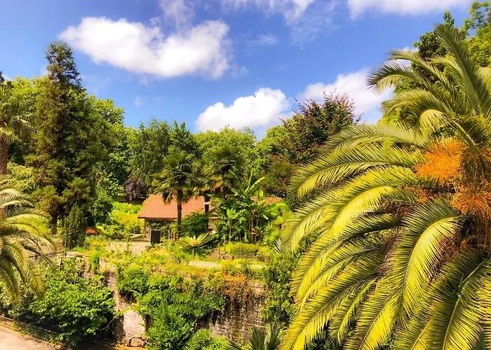 Maison d'hôtes City Break MIRADOUR